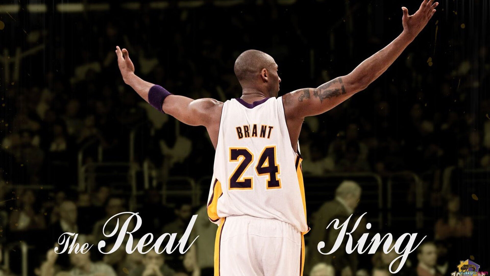 全国高校体育课纳入电子竞技选修课程，电子竞技项目列入体育